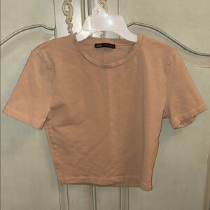 Zara Beige Short Sleeve Crop Top